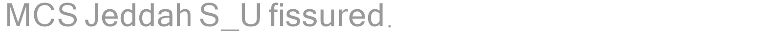 MCS Jeddah S_U fissured. font preview